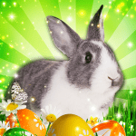 Hidden Object Easter Egg Hunt 1.2.88 Mod Apk Unlimited Money