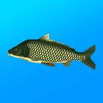 True Fishing. Simulator 1.16.0.749 Mod Apk Unlimited Money