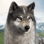 Wolf Game The Wild Kingdom 1.0.3 Mod Apk Unlimited Money