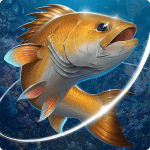 Fishing Hook 2.4.5 Mod Apk Unlimited Money