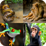 Animal Quiz Guess the Animal Mod Apk Unlimited Money