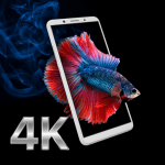 HD Wallpaper 4K Background 1.0.0 Mod Apk Unlimited Money