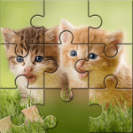 Cats Kittens Jigsaw Puzzles 1.0.5 Mod Apk Unlimited Money