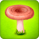 Forest Clans – Mushroom Farm 4.6.5 Mod Apk Unlimited Money