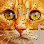 Jigsaw Puzzles games for adult 2023.05.17 Mod Apk Unlimited Money