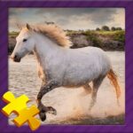 Animal Jigsaw Puzzles 0.0.10 Mod Apk Unlimited Money