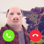 John Pork In Video Call 0.4 Mod Apk Unlimited Money