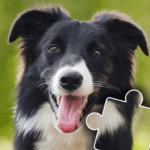 Dogs Cats Puzzles for kids 2024.108 Mod Apk Unlimited Money