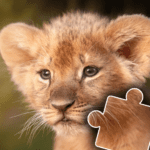 Kids animal jigsaw puzzles 2024.61 Mod Apk Unlimited Money