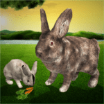 Ultimate Rabbit Simulator Game 1.12 Mod Apk Unlimited Money