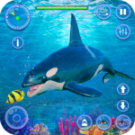 Orca Killer Whale Simulator 9 Mod Apk Unlimited Money