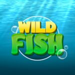 Wild Fish 25 Mod Apk (Unlimited Money)